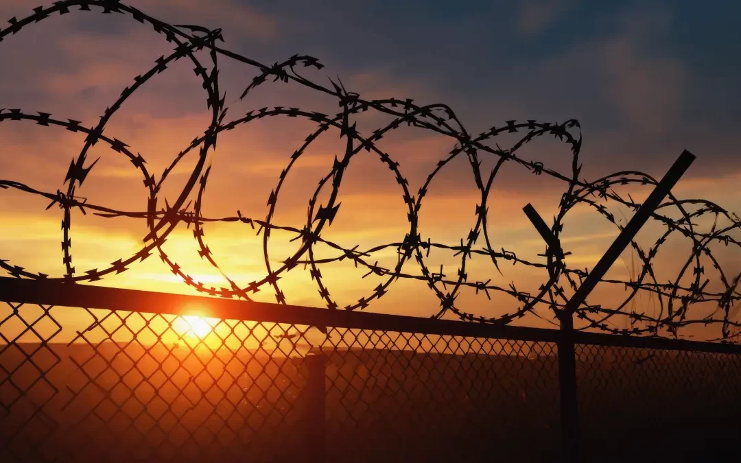 ลวดหนามตกแต่งสวน ไอเดียใหม่ที่ปลอดภัยและใช้งานได้จริง